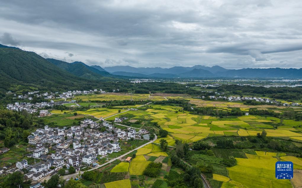 大陆线上赌网